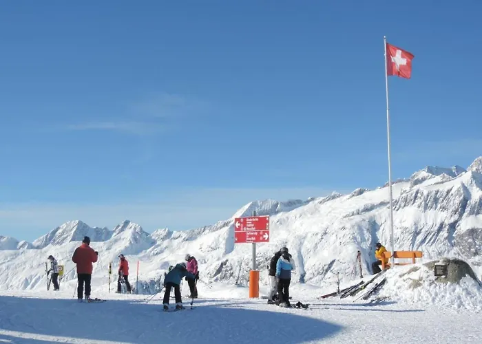 Talisman Wg Lilian By Interhome 公寓 利德阿尔卑斯